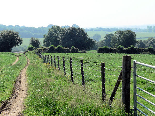 File:Field boundaries - geograph.org.uk - 454130.jpg