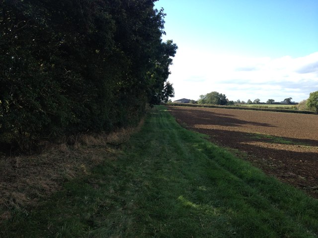 File:Field edge - geograph.org.uk - 5144782.jpg