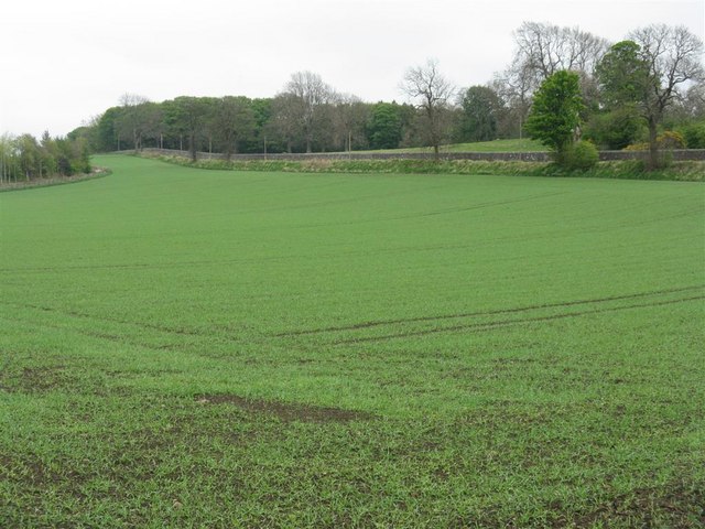 File:Fields and woodland from Overton Brae - geograph.org.uk - 1276253.jpg