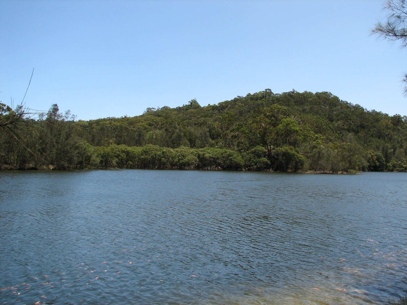 Parque nacional Garigal