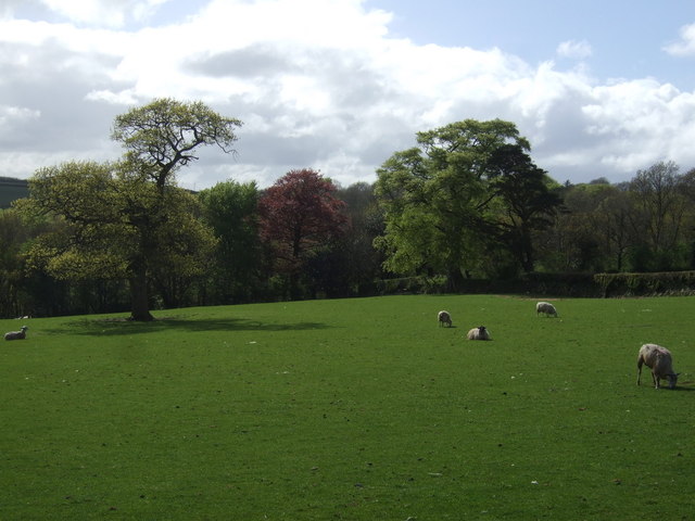 File:Grazing, Grenofen - geograph.org.uk - 3462033.jpg