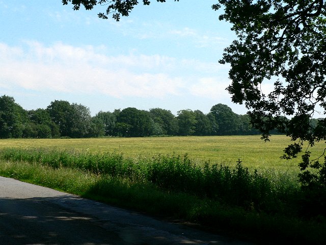 File:Green, Gold, Blue and White - geograph.org.uk - 196324.jpg