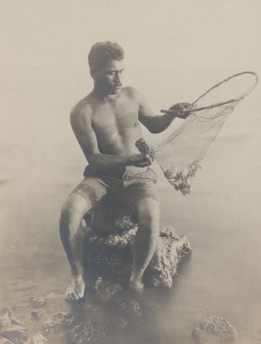 https://upload.wikimedia.org/wikipedia/commons/6/61/Hawaiian_fisherman_retrieving_fish_from_small_net%2C_Smithsonian.jpg