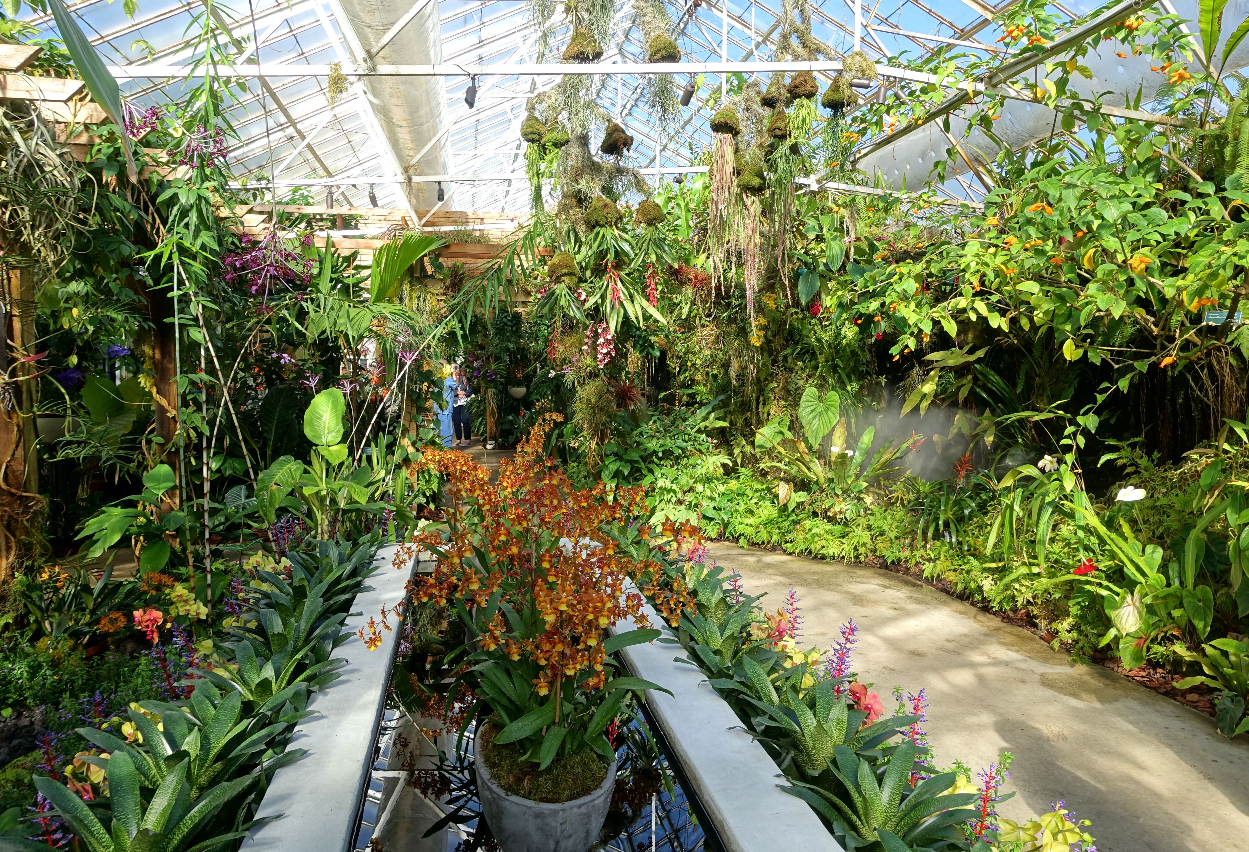 File Interior View Marie Selby Botanical Gardens Sarasota