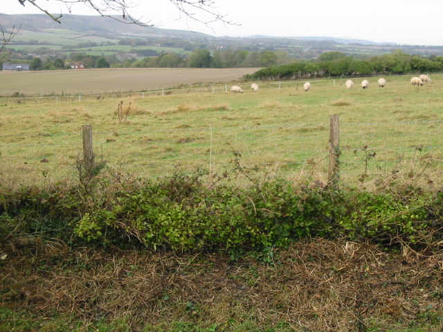 File:Looking W across the fields towards Milton Street - geograph.org.uk - 1028978.jpg