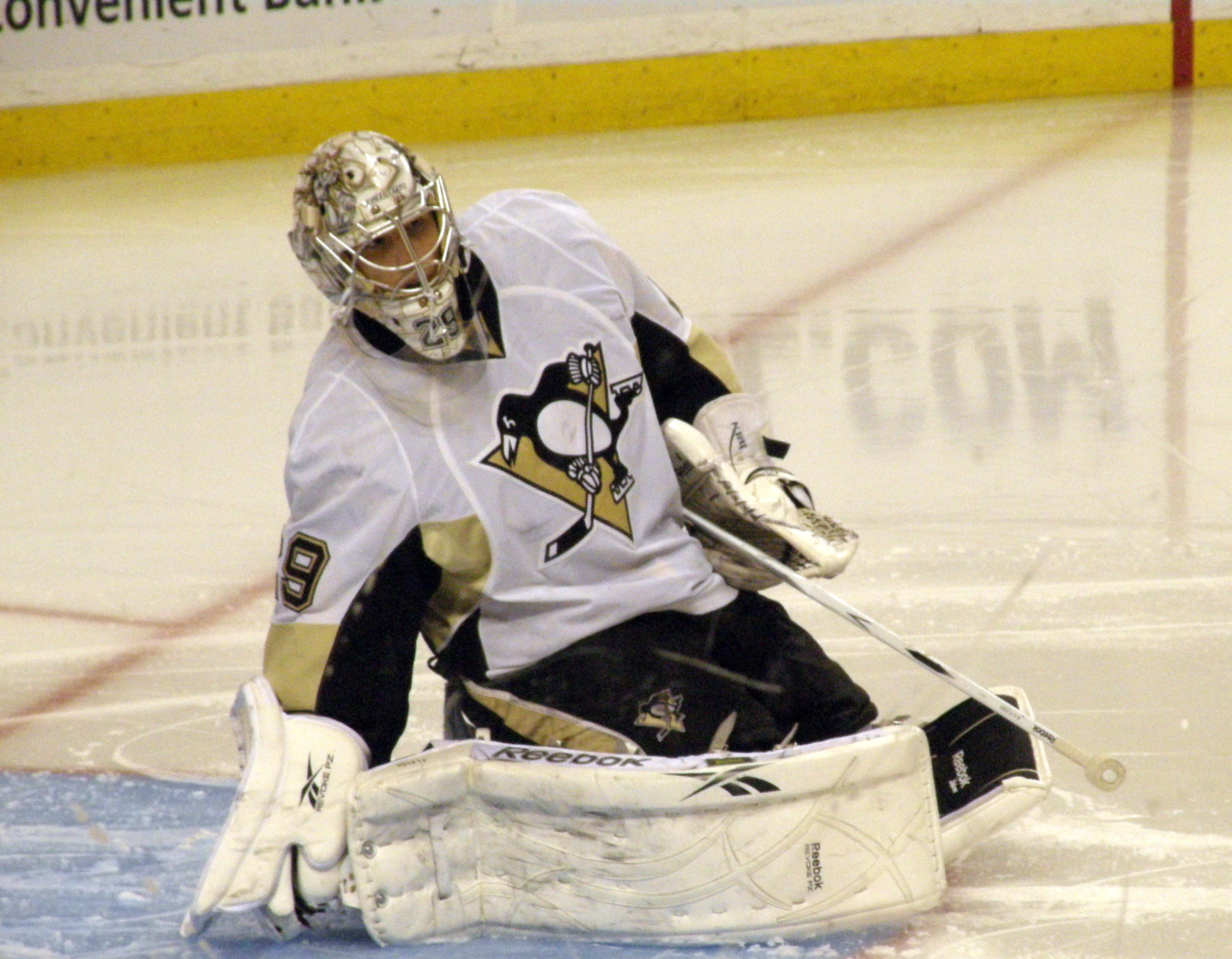 494 Marc Andre Fleury Headshot Stock Photos, High-Res Pictures
