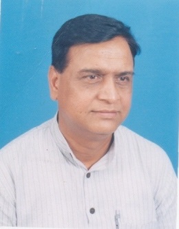 <span class="mw-page-title-main">Nagendra Kumar Pradhan</span> Indian politician