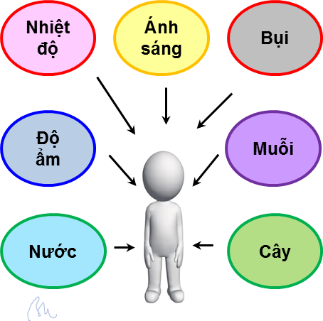 Nhân Tố Sinh Thái