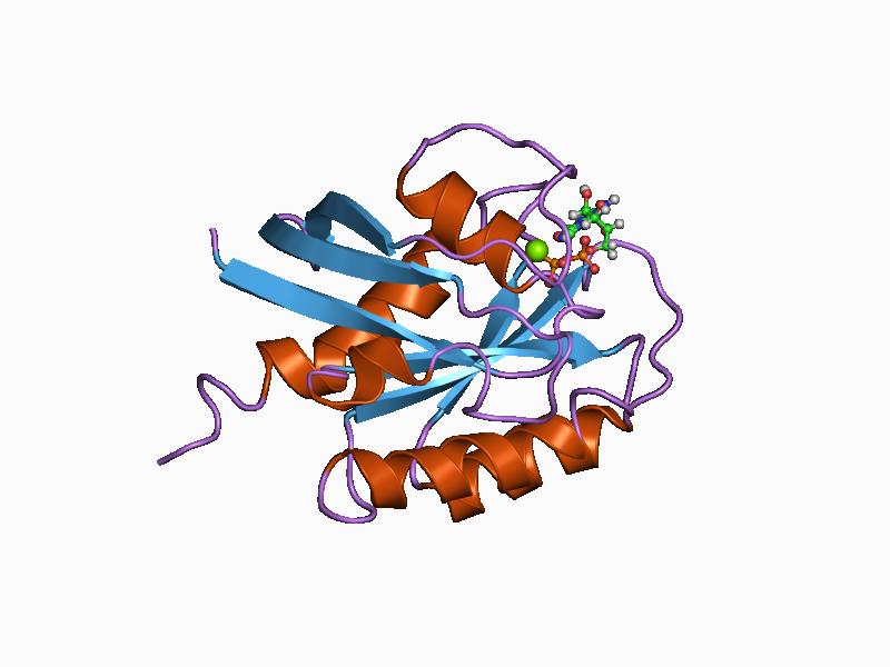 File:PDB 1aa9 EBI.jpg