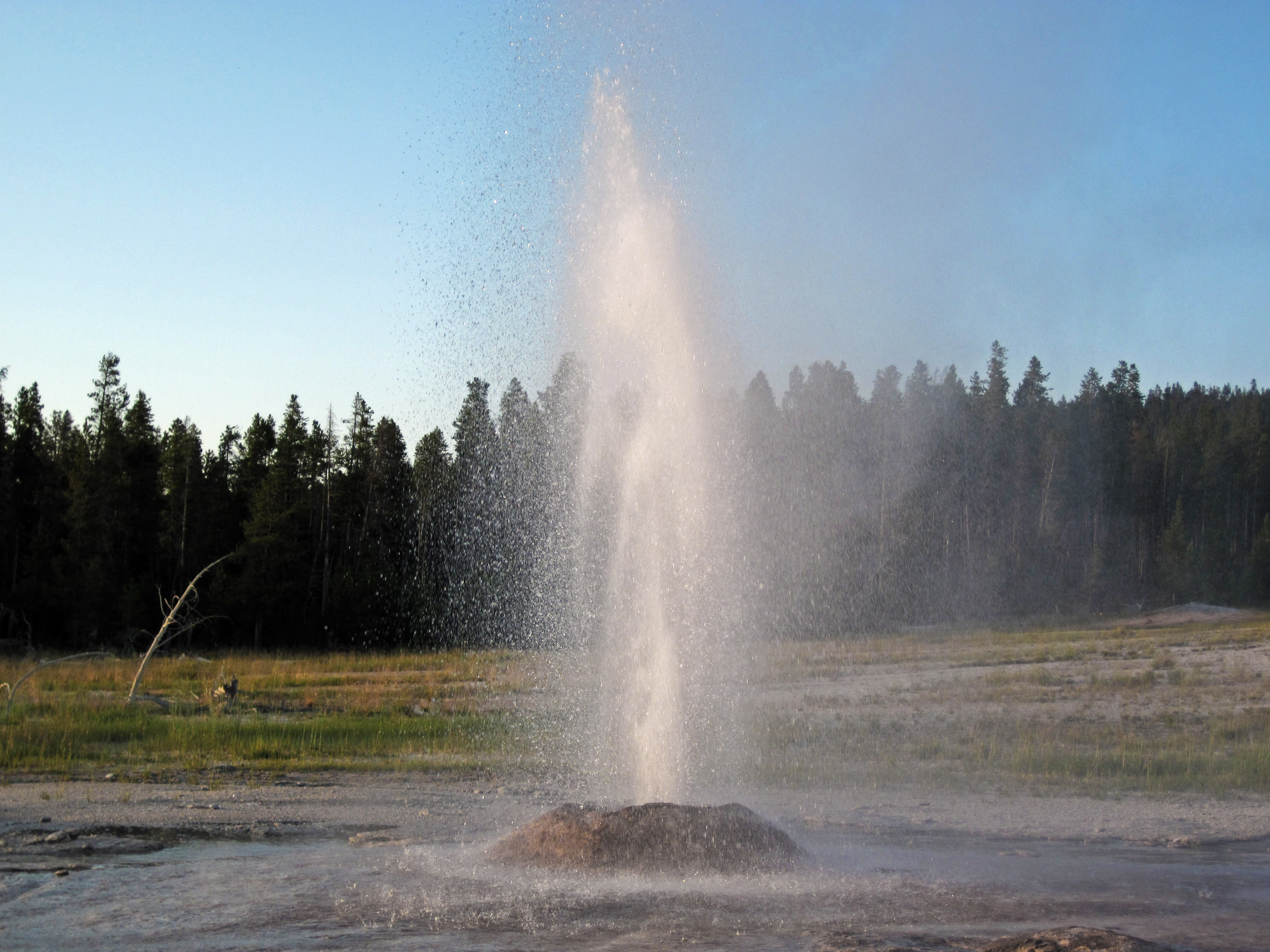 Slt geyser steam hose фото 31