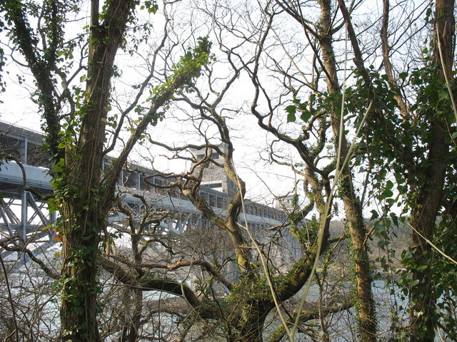 File:Pont Britannia viewed through the trees - geograph.org.uk - 386065.jpg