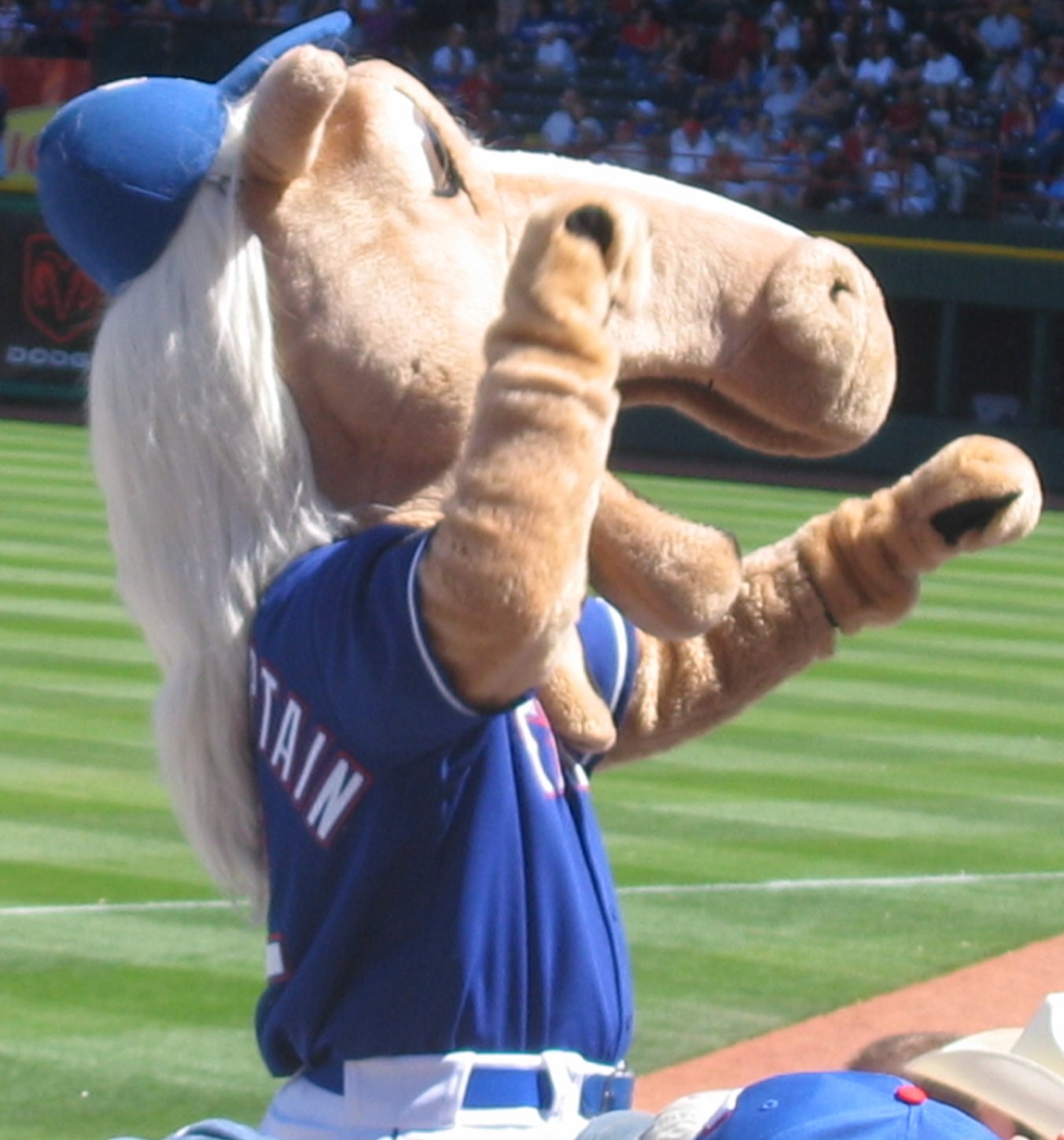 Baseball Season Rangers Texas Baseball Team Mascot Bleached 