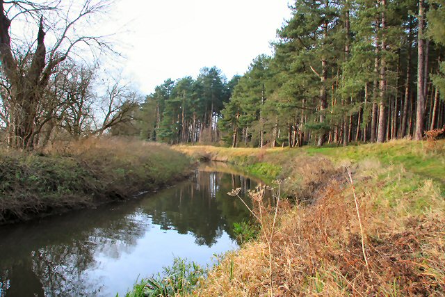 River Lark at West Stow Heath - geograph.org.uk - 639751