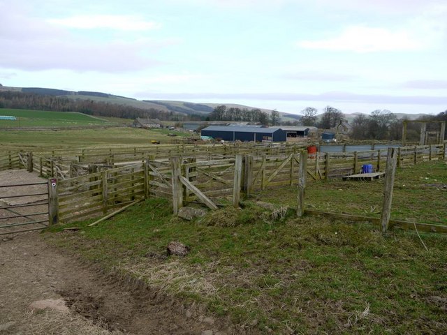 File:Sheep pens above Alnham House - geograph.org.uk - 1203807.jpg