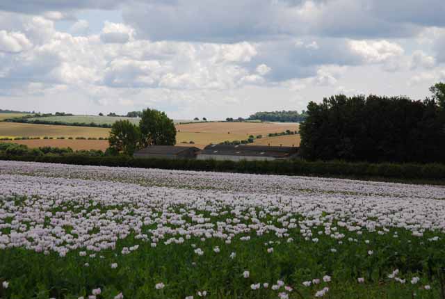 File:Tenantry Farm - geograph.org.uk - 498637.jpg