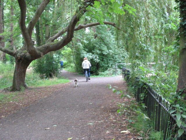 The Wandle Trail through Ravensbury Park - geograph.org.uk - 938123