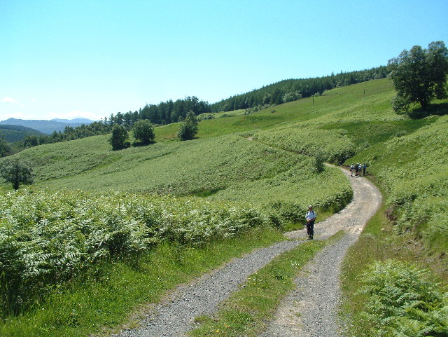 File:Track through Glen Tilt - geograph.org.uk - 97398.jpg