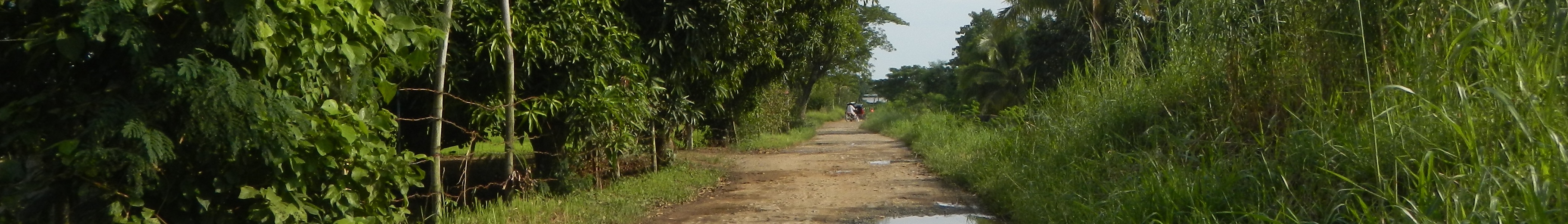 WV banner Bulacan Countryside road.jpg