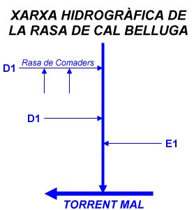 Xarxa hidrogràfica de la Rasa de Cal Belluga