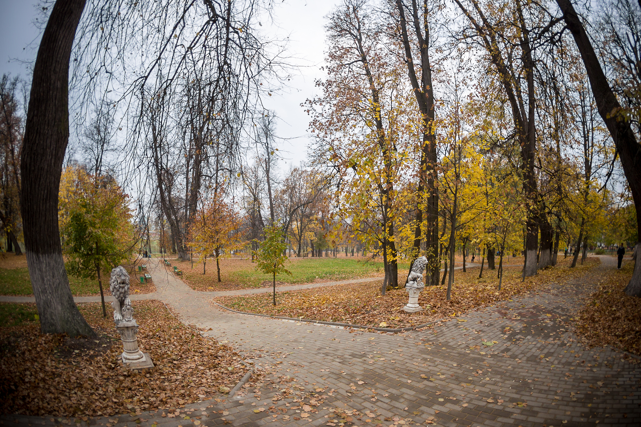 Парк белкино в обнинске