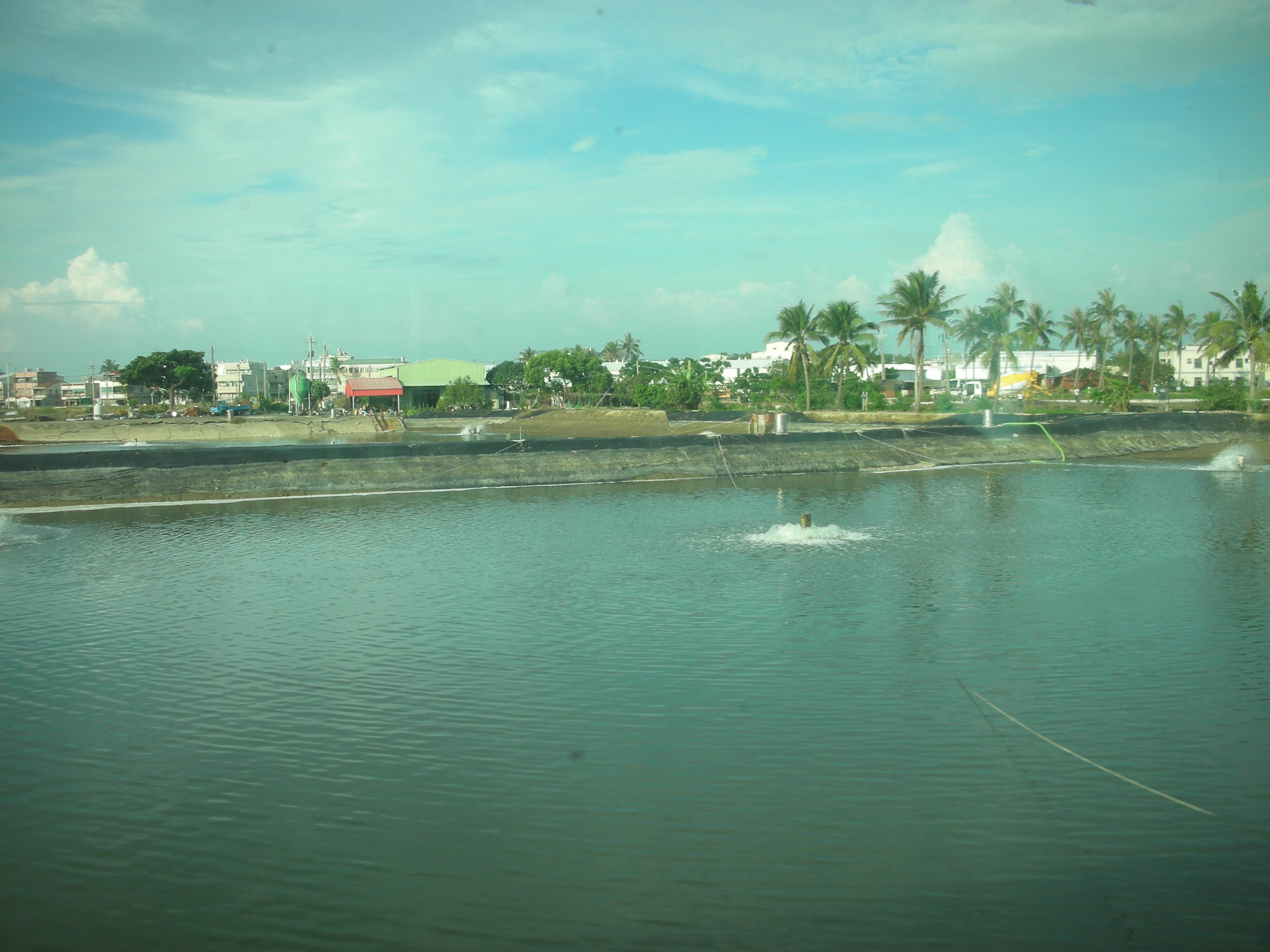 File 中洲 魚塭 Panoramio Jpg Wikimedia Commons