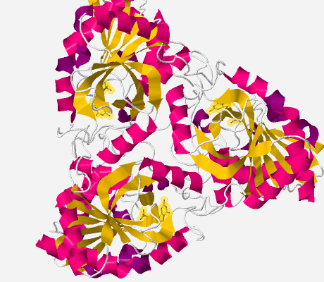 File:3D with ligand.png