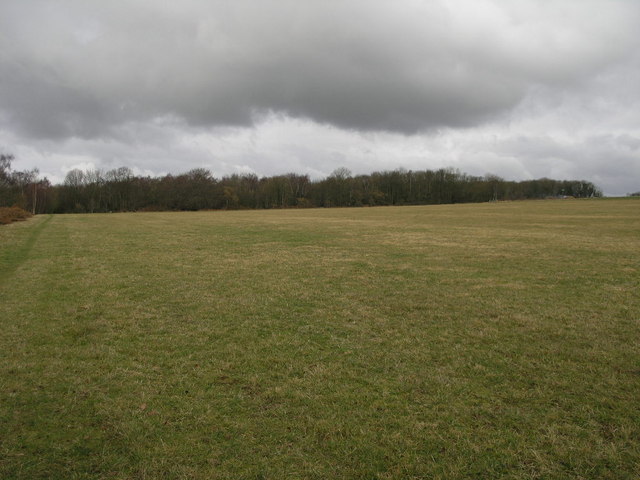 Anston Stones Wood