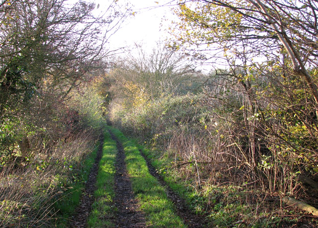 File:Approaching Sprow's Pits from the east - geograph.org.uk - 1586444.jpg