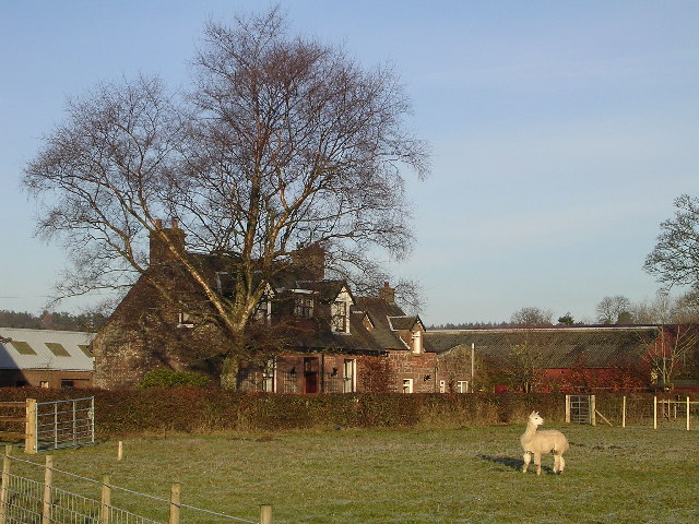 File:Ballochruin Farm plus Llama - geograph.org.uk - 95397.jpg