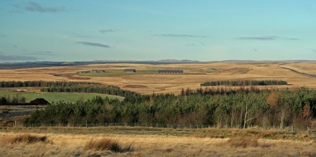 File:Barracker Sike - geograph.org.uk - 656941.jpg