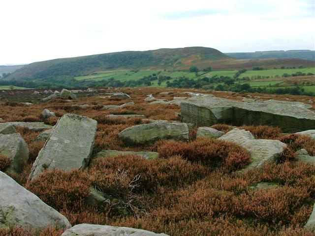 File:Boulder Field, Above Bumper Hagg - geograph.org.uk - 63221.jpg