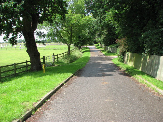 File:Common Road - geograph.org.uk - 489999.jpg