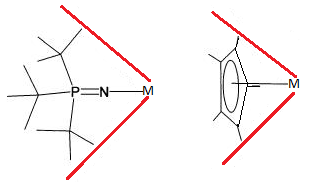 Cone angles of a tert-butyl phosphinimide ligands and cyclopentadienyl ligands when bonded to a metal centre.