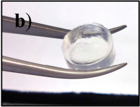 File:Crosslinked ultrashort peptide hydrogel.jpg