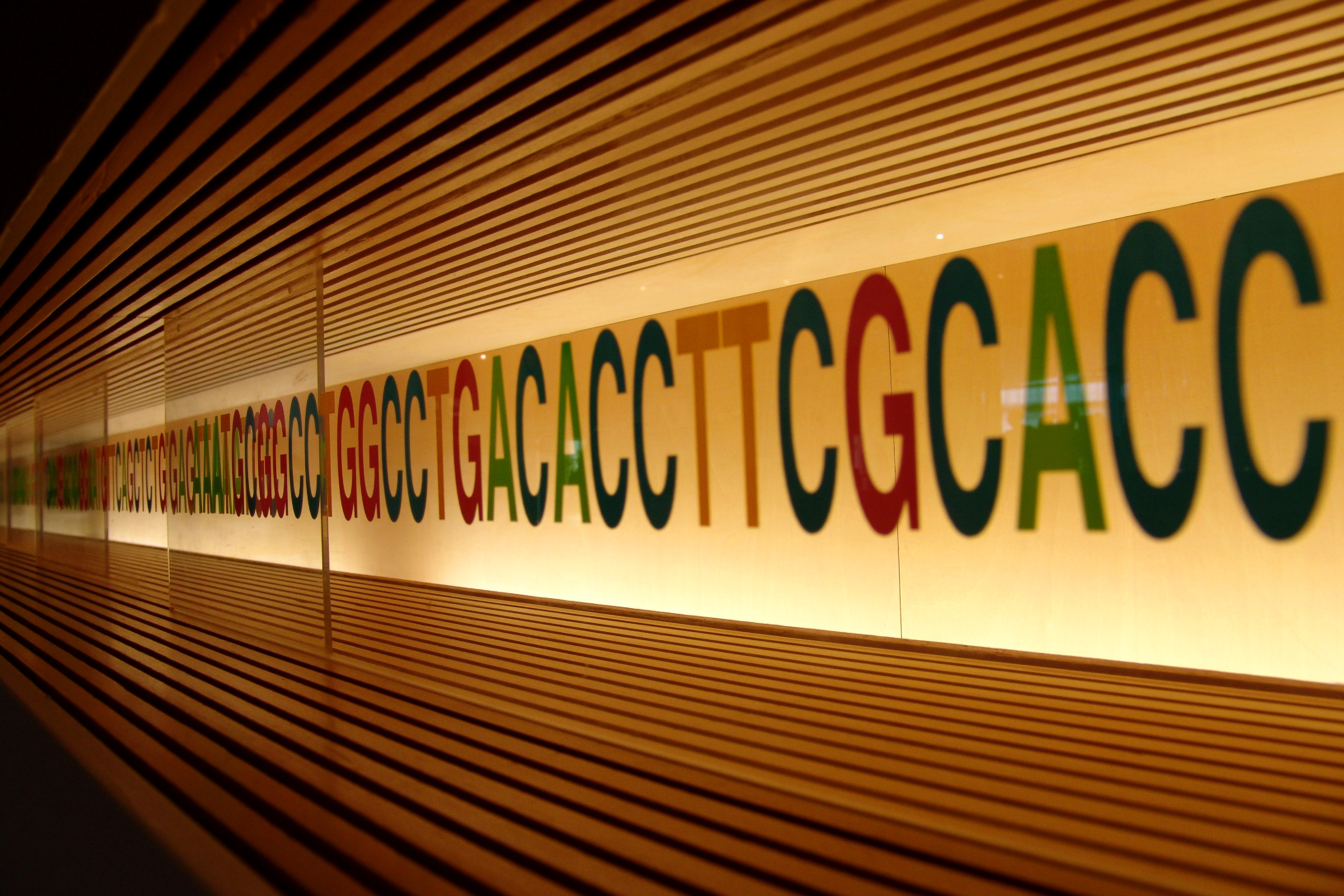 file-dna-sequence-jpg-wikimedia-commons