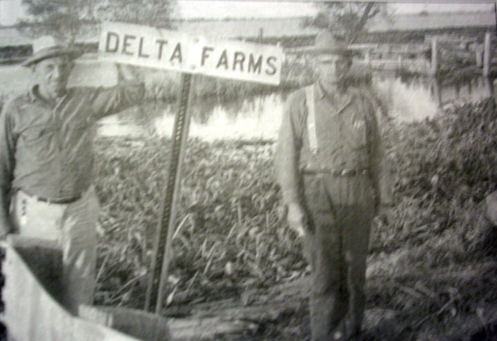 File:Delta Farms sign.jpg