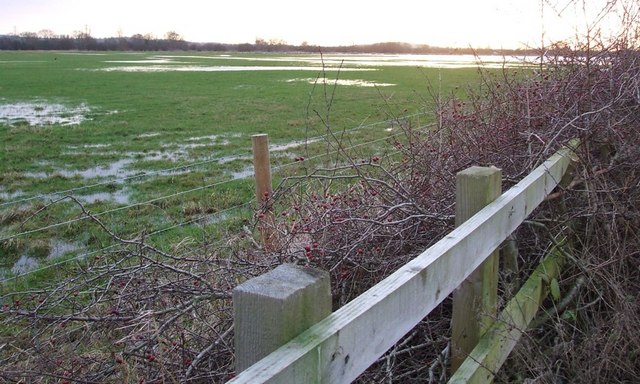 File:Fences, hedge and floods - geograph.org.uk - 303588.jpg