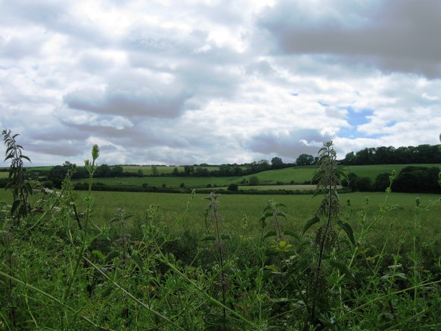 File:Fields, Bingham Melcombe - geograph.org.uk - 4030241.jpg