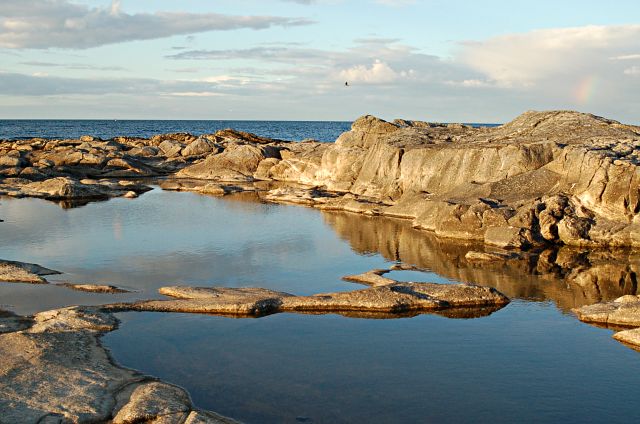 File:Fife Ness rock pools - geograph.org.uk - 228236.jpg