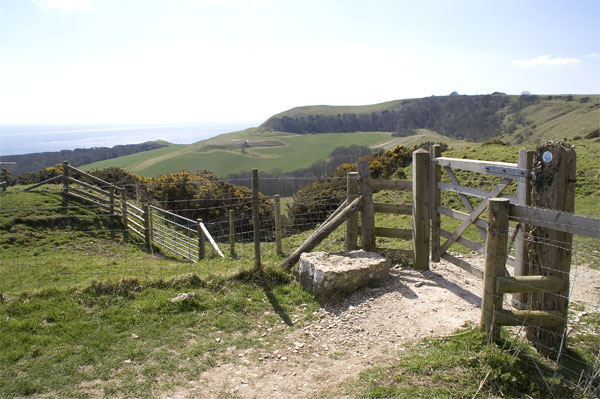 Footpath to Swyre Head - geograph.org.uk - 160988