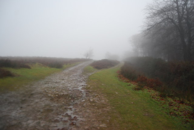 File:Macmillan Way West above Crowcombe in the mist - geograph.org.uk - 1656316.jpg