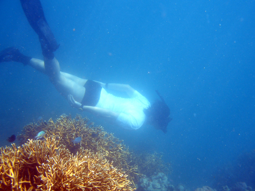 File:Masato diving.jpg