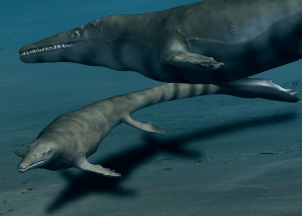 Mosasaurus BW.jpg