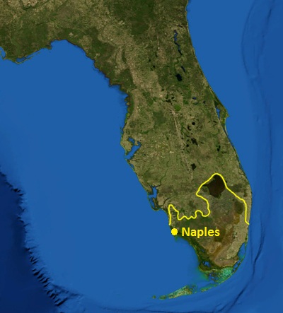 File:Naples and Everglades ecoregion.jpg