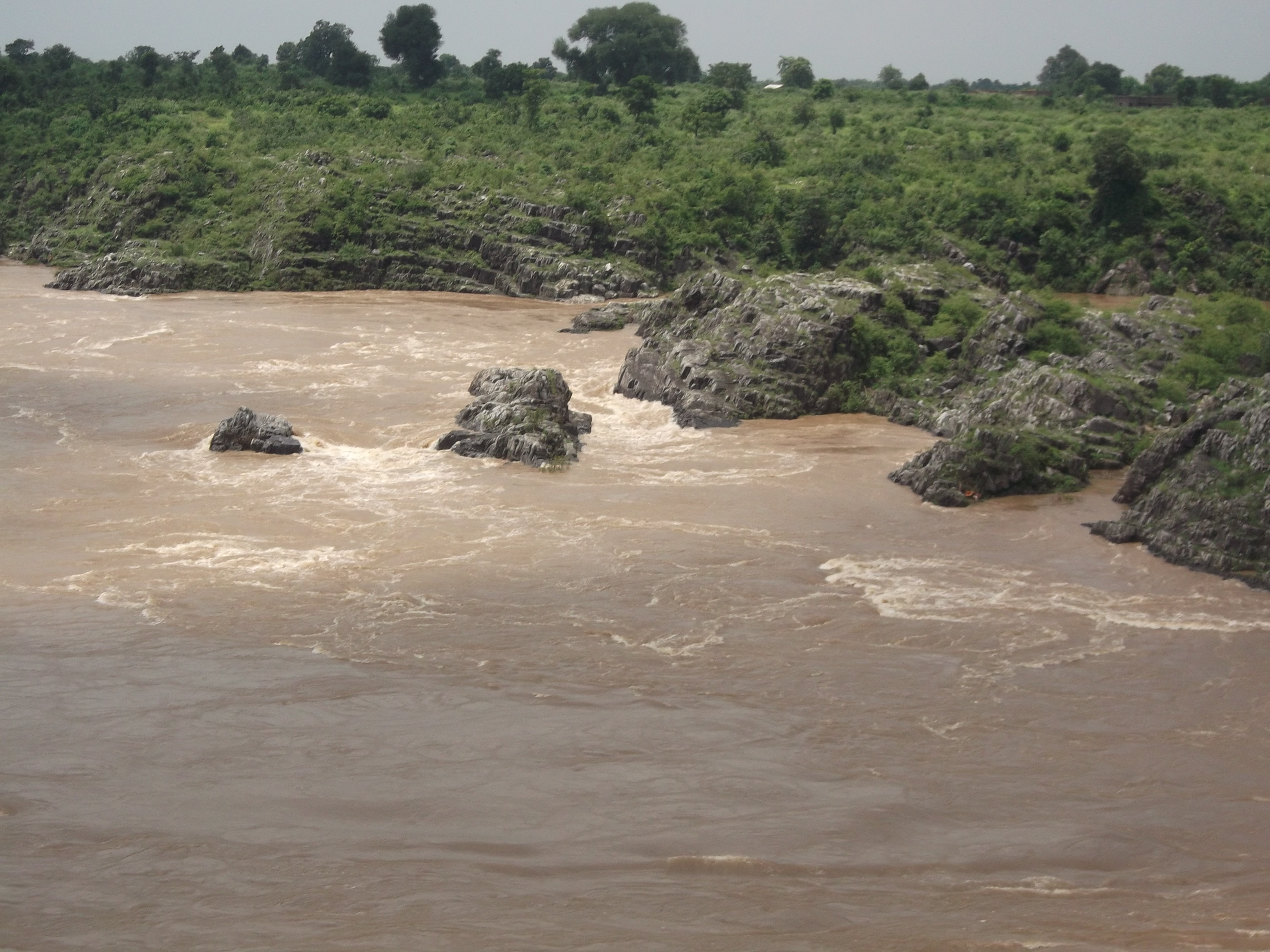Narmada River