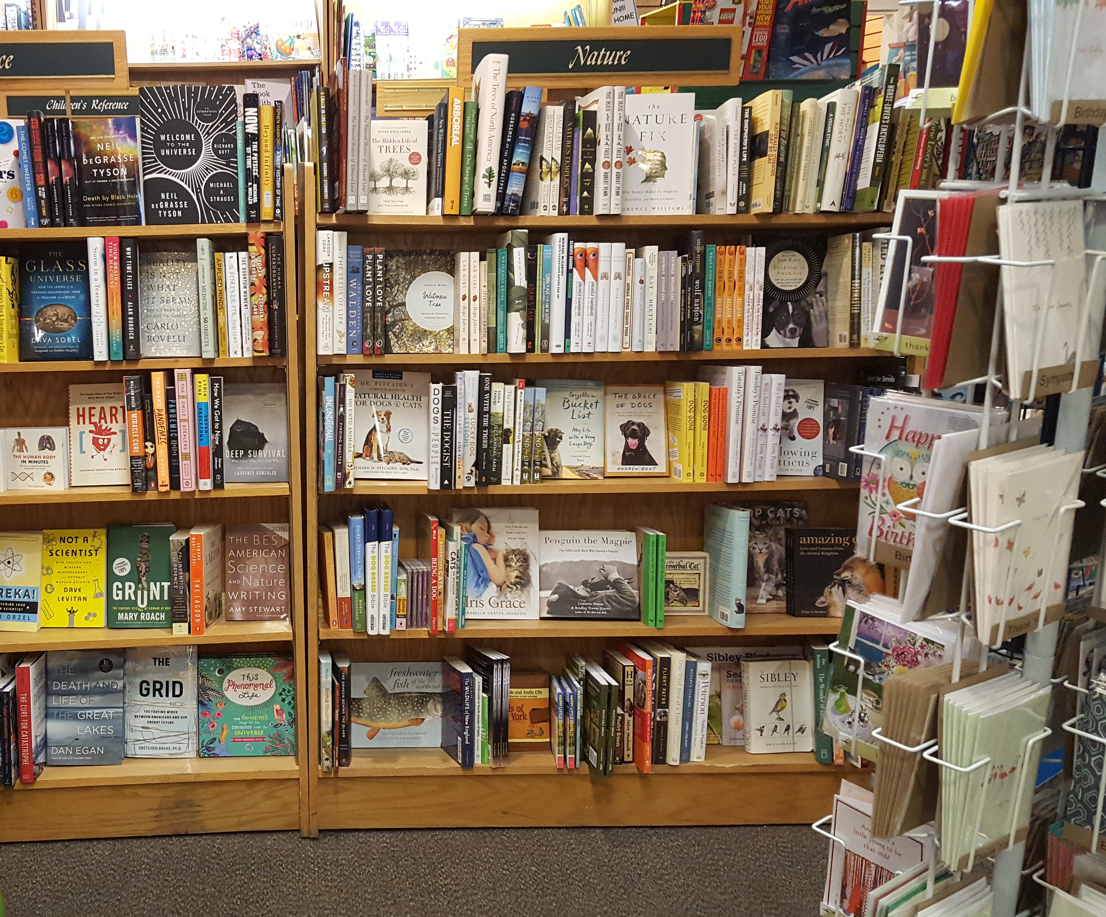 The Open Door Bookstore