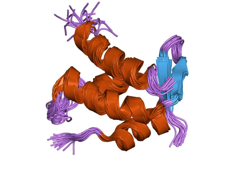 File:PDB 1onv EBI.jpg