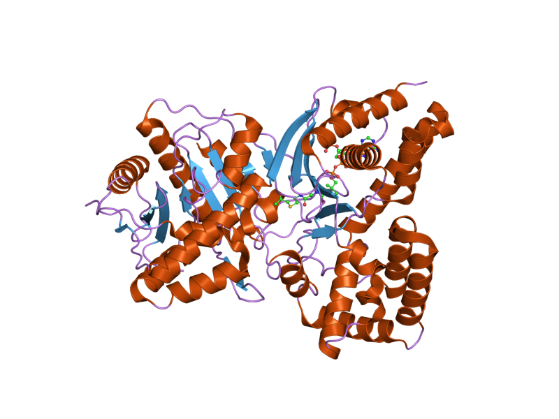 File:PDB 2fy5 EBI.png