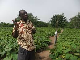 <span class="mw-page-title-main">Paul Yeboah</span> Ghanaian permaculturist