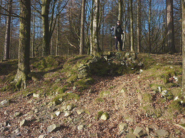 File:Possible bloomery site, Harrison Coppice - geograph.org.uk - 4331572.jpg